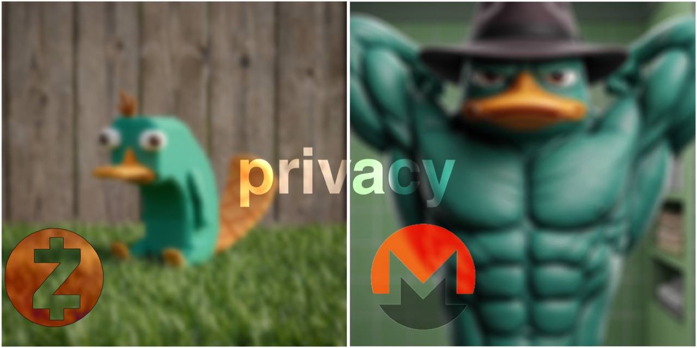 Privacy meme: weak Zcash Perry vs. buff Monero Perry